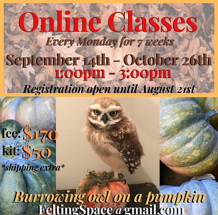 Class Information