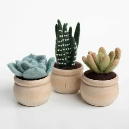 A kit to create needle felted succulent plants in pots.