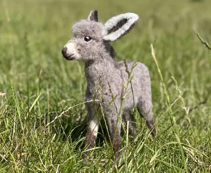 Diego The Donkey - Needle Felting Kit - Image 2
