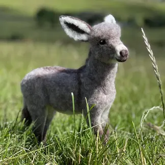 Diego the Donkey Needle Felting Kit
