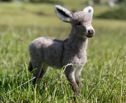 Diego The Donkey - Needle Felting Kit - Image 3